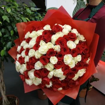 Букет из 101 розы (красные и белые розы) код: 107667